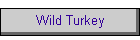 Wild Turkey