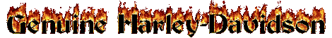 harleyflames40.gif - 40816 Bytes